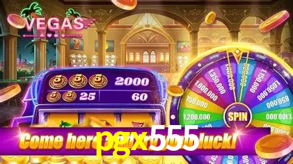 Flash Promotion pgx555